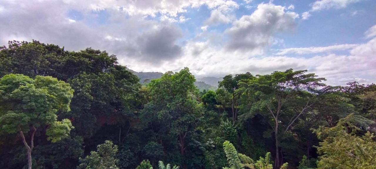 Вилла Casaluna Tayrona Санта-Марта Экстерьер фото