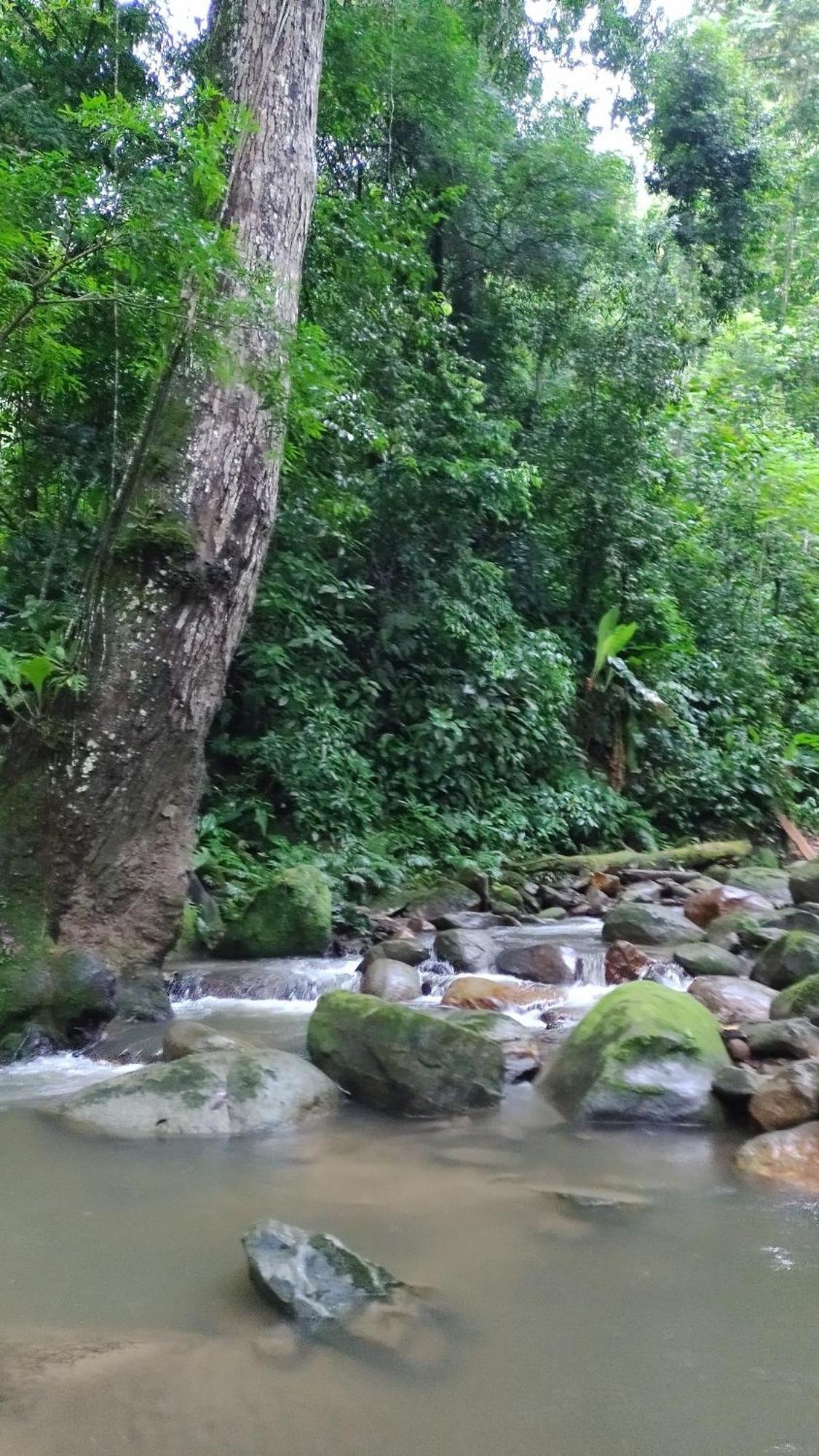 Вилла Casaluna Tayrona Санта-Марта Экстерьер фото