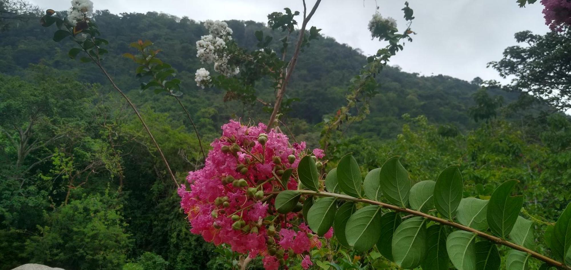 Вилла Casaluna Tayrona Санта-Марта Экстерьер фото